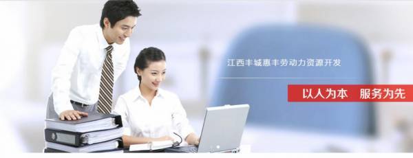 江西省豐城市*豐勞動力資源開發(fā)網(wǎng)站建設有創(chuàng)意的主題設計